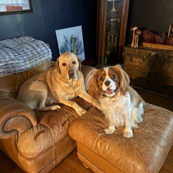 Meet your Posher, Cindy - Picture 1 of 2